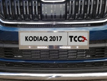 Рамка гос. номера ТСС Тюнинг Skoda Kodiaq NU7 дорестайлинг (2017-2021) (нержавейка)