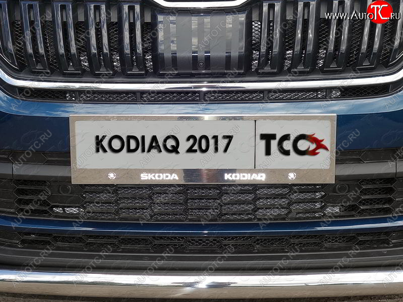 5 999 р. Рамка гос. номера ТСС Тюнинг Skoda Kodiaq NU7 дорестайлинг (2017-2021) (нержавейка)  с доставкой в г. Майкоп