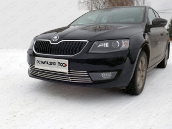 Рамка гос. номера ТСС Тюнинг Skoda Octavia A7 дорестайлинг лифтбэк (2012-2017) (нержавейка)
