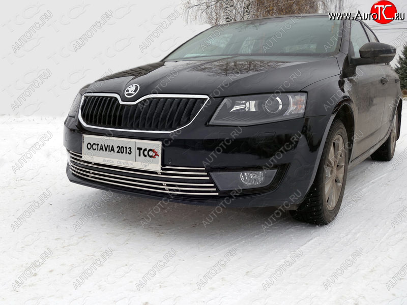 5 999 р. Рамка гос. номера ТСС Тюнинг Skoda Octavia A7 дорестайлинг лифтбэк (2012-2017) (нержавейка)  с доставкой в г. Майкоп