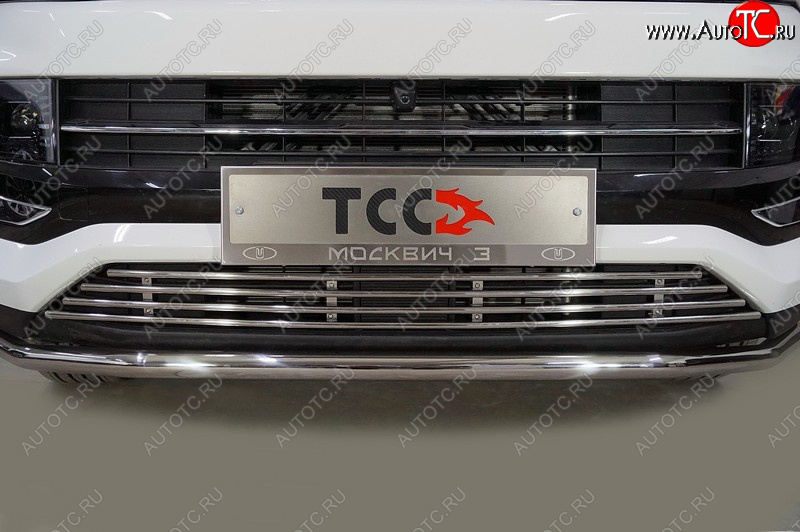 4 999 р. Рамка гос. номера ТСС Тюнинг  Москвич 6 (2023-2025) лифтбэк (нержавейка)  с доставкой в г. Майкоп