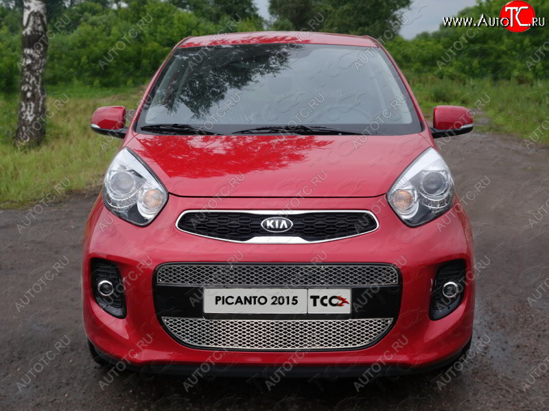 1 000 000 р.  ТСС Тюнинг KIAPicanto II 2011-2017 - Решетка радиатора средняя (лист)  kiapic1501  с доставкой в г. Майкоп