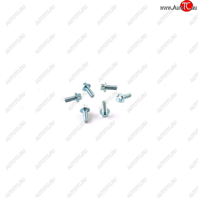 469 р. Комплект болтов тормозного диска (6шт.) SM-PARTS SM-DB06  010263-686-1770  с доставкой в г. Майкоп