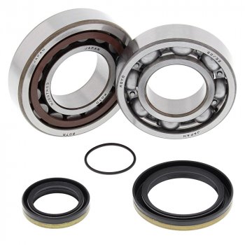 15 979 р. Компл. подшипников и сальников квала ALL BALLS KTM 250SX 03-16 250300XC 06-16 (24-1098)  24-1098  с доставкой в г. Майкоп. Увеличить фотографию 1