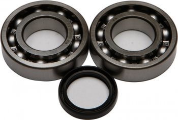 6 109 р. Компл. подшипников и сальников квала ALL BALLS Kawasaki KX250F 04-16 Suzuki RMZ250 04-06 (24-1081)  24-1081  с доставкой в г. Майкоп. Увеличить фотографию 1