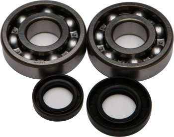 8 219 р. Компл. подшипников и сальников квала ALL BALLS Honda  CR80RB 97-02 CR85RRB 03-07  (24-1002)  24-1002  с доставкой в г. Майкоп. Увеличить фотографию 1