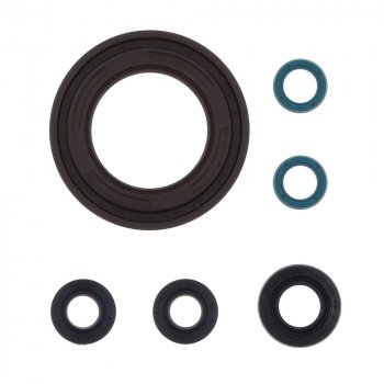 4 289 р. Комплект сальников двигателя ATHENA Yamaha TDM900 02-09  p400485400158  с доставкой в г. Майкоп. Увеличить фотографию 1