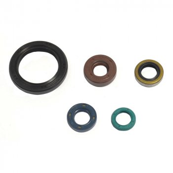 3 059 р. Комплект сальников двигателя ATHENA Kawasaki KLX250 09-12,KLX250S 07-12  p400250400049  с доставкой в г. Майкоп. Увеличить фотографию 1