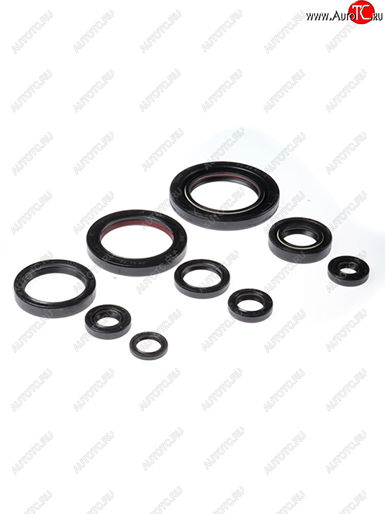 2 899 р. Комплект сальников двигателя BWX Honda TRX450ER 06-14, TRX450R 06-09 (822312)  osk30312  с доставкой в г. Майкоп
