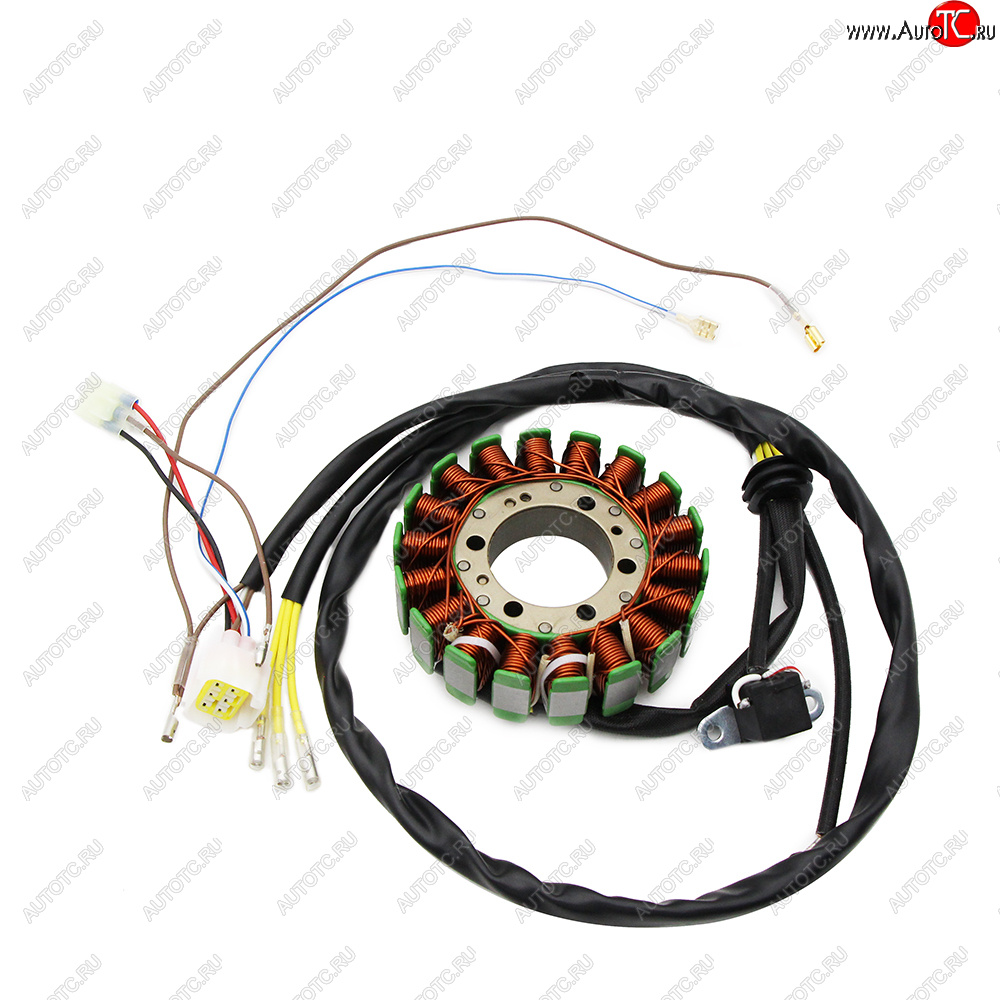 6 769 р. Статор генератора Polaris RANGER 500 05-09 3089579  пм-00029725  с доставкой в г. Майкоп