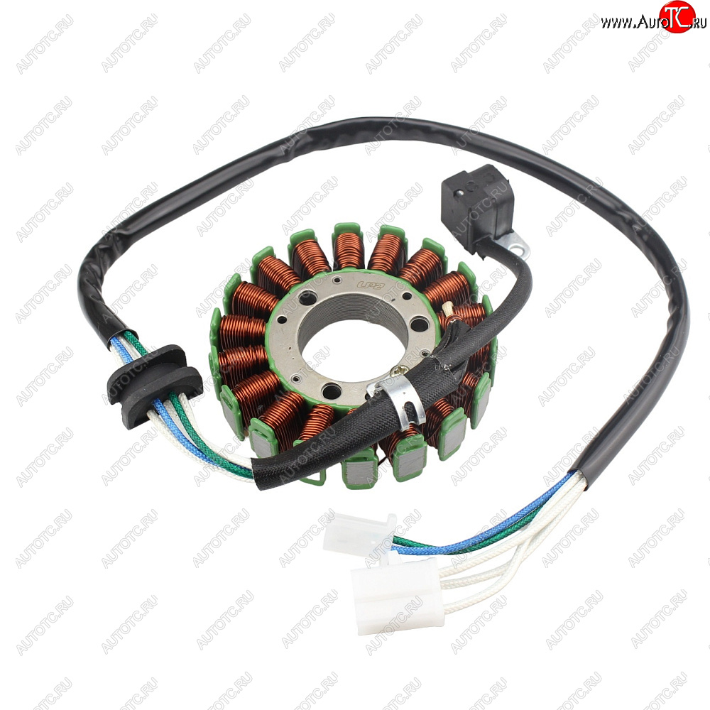 5 289 р. Статор генератора Yamaha TT-R250 93-06 4GY-81410-01-00, 4GY-81410-02-00  пм-00029578  с доставкой в г. Майкоп