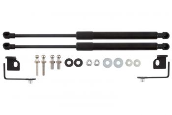 4 549 р. Амортизаторы капота для EVOLUTE i-Space, 2024-, к-т 2 шт  Эволют EASYLIFT easylift 062.102  с доставкой в г. Майкоп. Увеличить фотографию 1