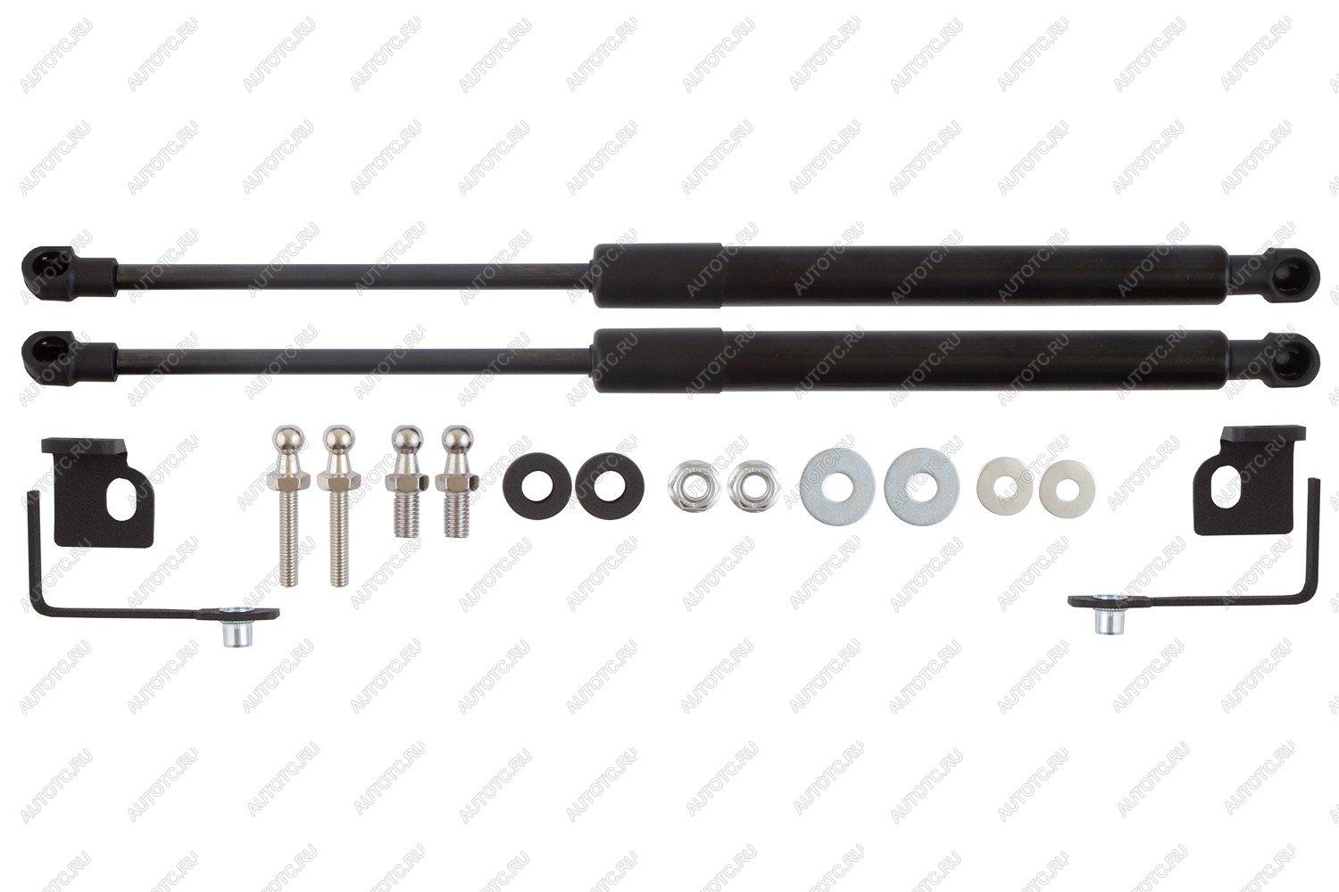 4 549 р. Амортизаторы капота для EVOLUTE i-Space, 2024-, к-т 2 шт  Эволют EASYLIFT easylift 062.102  с доставкой в г. Майкоп