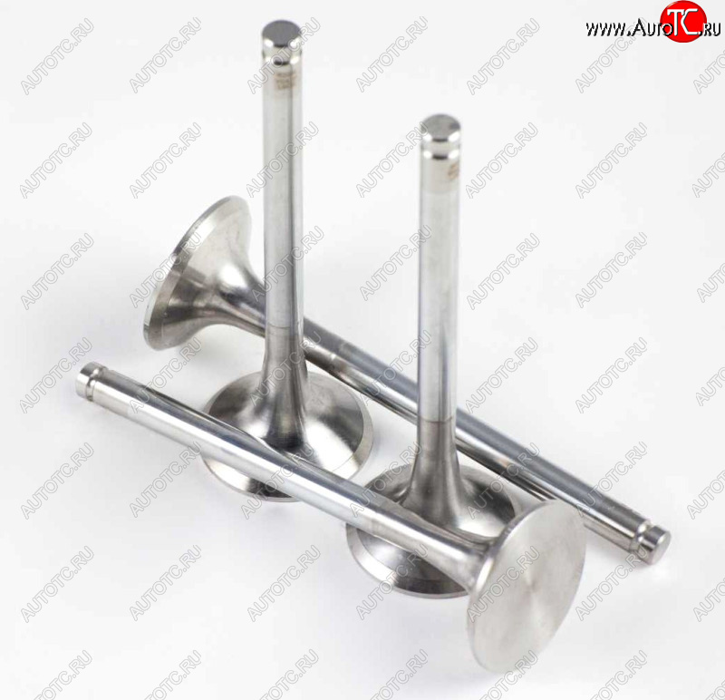 459 р. Клапан WD615 Евро2 выпускной D=50 d=11 H=159 HOWO SHACMAN vg1560050041612600050025  с доставкой в г. Майкоп