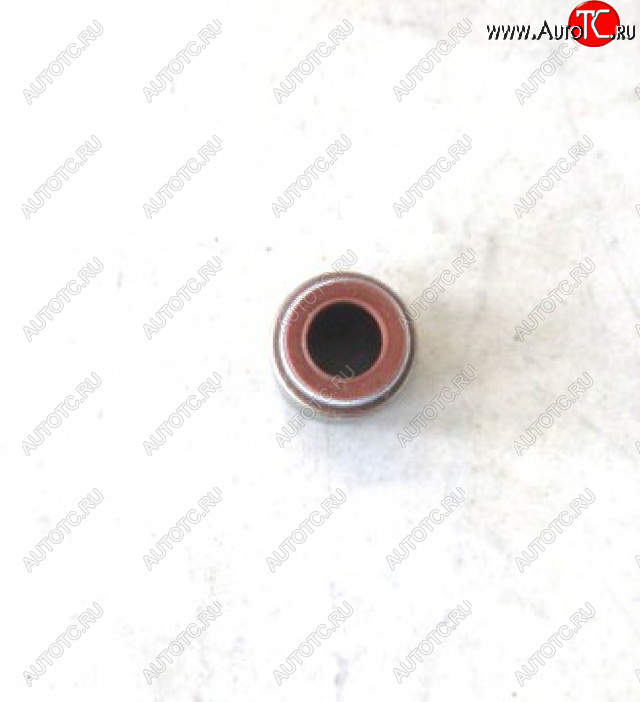 79 р.     Колпачки маслосъемные (YC6108) 430-1007016A YUCHAI 430-1007016a  с доставкой в г. Майкоп