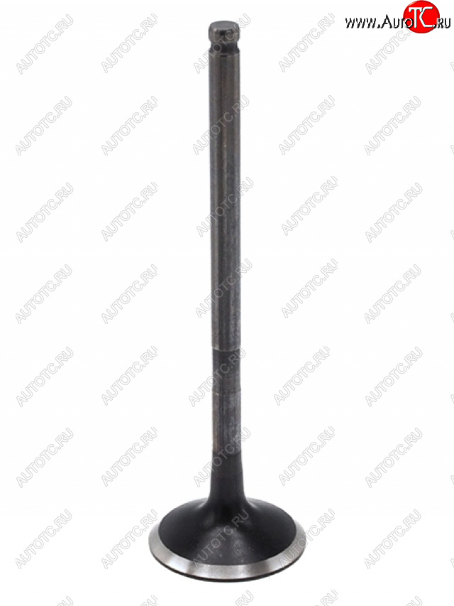 1 499 р. Клапан выпускной TOYOTA 1AZFE2AZFE1AZFSE2AZFSE2AZFXE TOYOTA 13715-28010  с доставкой в г. Майкоп