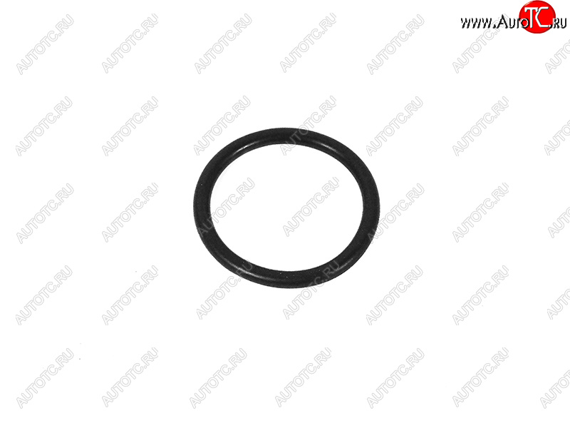 369 р. Кольцо уплотнительное АКПП VAG VAG WHT001403  с доставкой в г. Майкоп