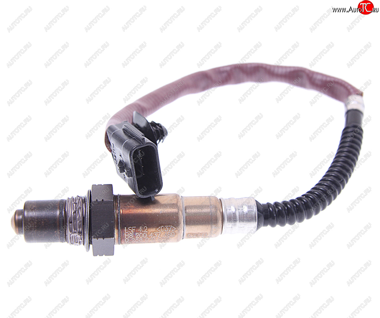 6 599 р. Датчик кислорода RENAULT Clio (12-) BOSCH BOSCH 0258010062  с доставкой в г. Майкоп