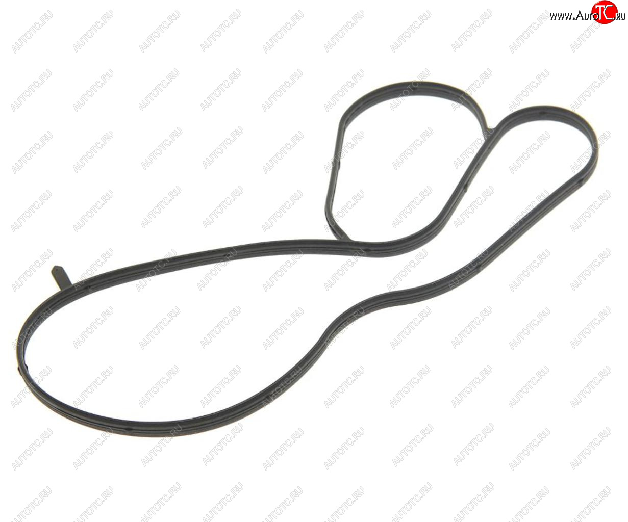 489 р. Кольцо уплотнительное VW AUDI SEAT SKODA (1.4) насоса водяного OE VAG 04e121119c  с доставкой в г. Майкоп