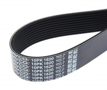 2 469 р. Ремень приводной поликлиновой 10PK1620HD DAYCO DAYCO 10pk1620hd  с доставкой в г. Майкоп. Увеличить фотографию 2