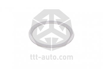 3 799 р. Ремкомплект суппорта WABCO 19.522.5 (направляющие,болты,пыльники,шайбы) TTT TTT 14803  с доставкой в г. Майкоп. Увеличить фотографию 11