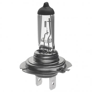 166 р. Лампа 12V H7 55W PX26d Eco BOSCH BOSCH 1987302804  с доставкой в г. Майкоп. Увеличить фотографию 1