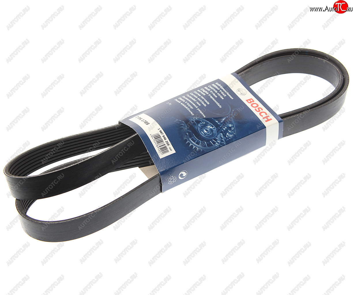 1 559 р. Ремень приводной поликлиновой 7PK1785 RENAULT Megane (09-) BOSCH BOSCH 1987946256  с доставкой в г. Майкоп