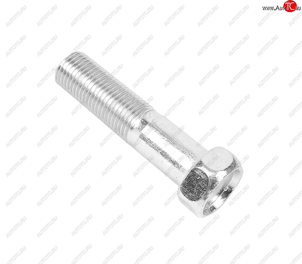 38 р. Болт М12х1.25х50 ГАЗ-3302 эксцентрика ГРМ ЭТНА Красная Этна ОАО 201571-п29  с доставкой в г. Майкоп
