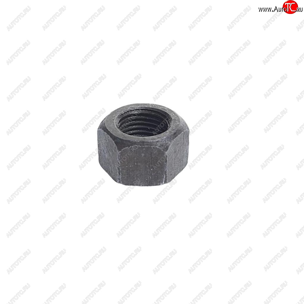 11 р. Гайка М10х1.0х10 ГАЗ-24,31029,УАЗ шатуна ЭТНА Красная Этна ОАО 292758-п  с доставкой в г. Майкоп