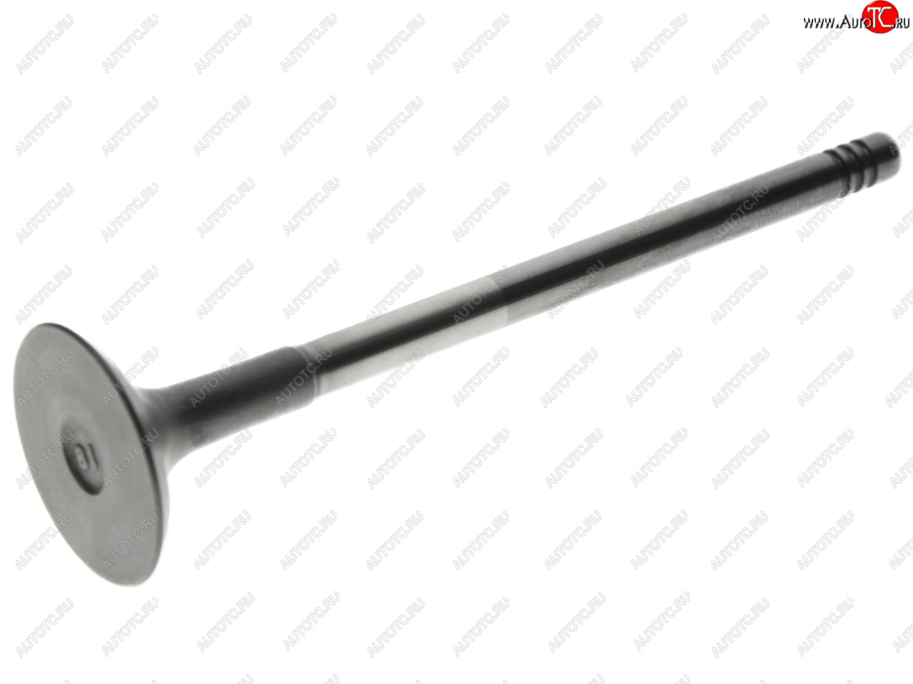 1 089 р. Клапан выпускной CHERY Fora,M12,Tiggo OE CHERY 481h-1007012ca  с доставкой в г. Майкоп