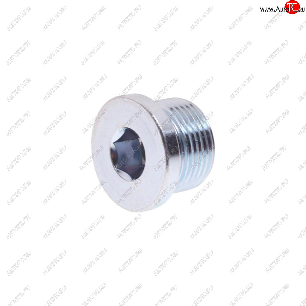 263 р. Пробка MAN картера двигателя (M22х1.5) DT DT 9.29010  с доставкой в г. Майкоп