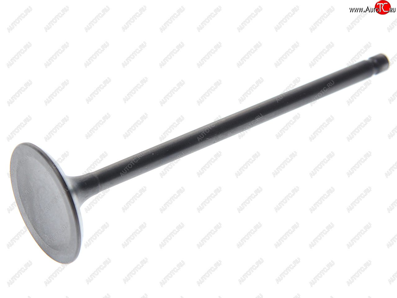 217 р. Клапан выпускной CHEVROLET Aveo (03-) (1.2) (1шт.) SHINHAN SHIN HAN 94581486  с доставкой в г. Майкоп