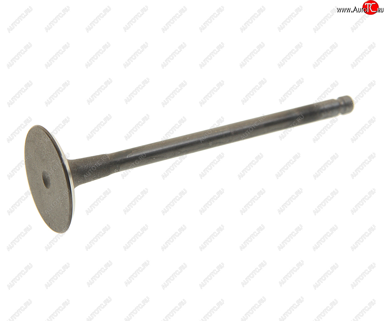 199 р. Клапан впускной CHEVROLET Epica (V250) (07-) (2.0) (1шт.) SHINHAN SHIN HAN 96307816 SHIN HAN 96307816  с доставкой в г. Майкоп