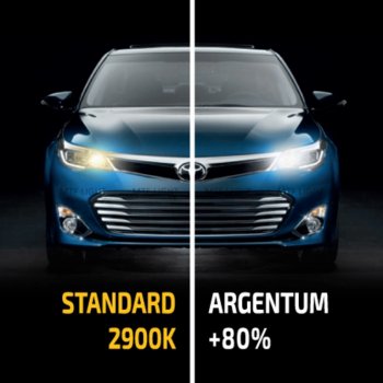2 059 р. Лампа 12V H7 55W PX26d +80% бокс (2шт.) Argentum MTF MTF h8a1207  с доставкой в г. Майкоп. Увеличить фотографию 6