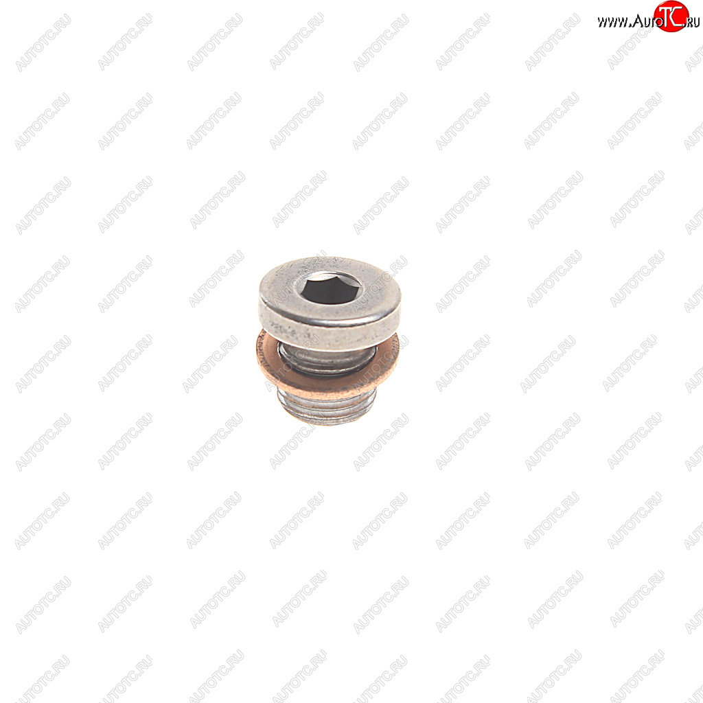 276 р. Пробка сливная VW AUDI SEAT SKODA поддона картера OE VAG n90281802  с доставкой в г. Майкоп