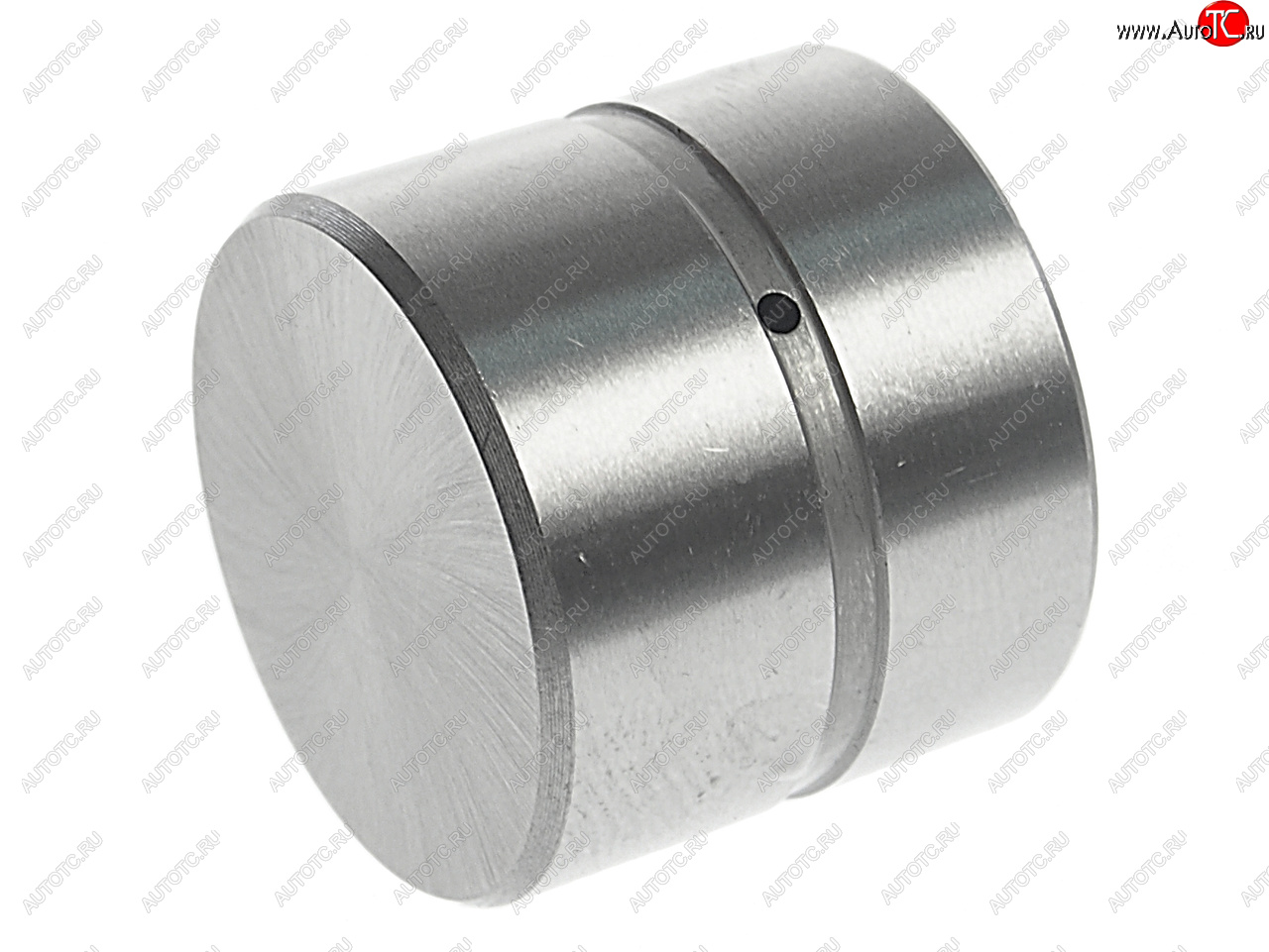 539 р. Гидрокомпенсатор HYUNDAI Accent (99-),Elantra (00-),Getz (02-),Matrix (01-) NSP NSP nsp022223137110  с доставкой в г. Майкоп