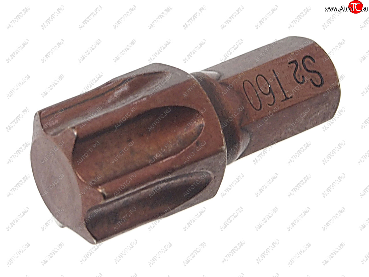 97 р. Бита TORX T60х30мм 5/16 ROCKFORCE ROCKFORCE rf-1563060pr ROCKFORCE rf-1563060pr  с доставкой в г. Майкоп