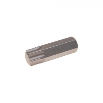 198 р. Бита TORX Т70Hх50мм 14мм ROCKFORCE ROCKFORCE rf-1965070  с доставкой в г. Майкоп. Увеличить фотографию 1