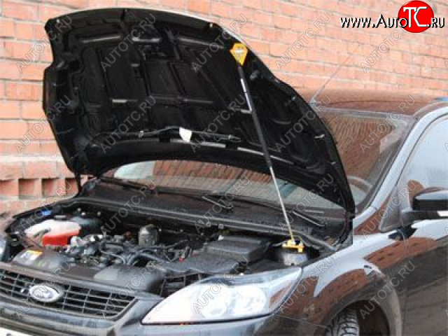 2 049 р. Упор капота Ford Focus II (2008-2011) ТехноМастер ТехноМастер 8231.6700.04  с доставкой в г. Майкоп