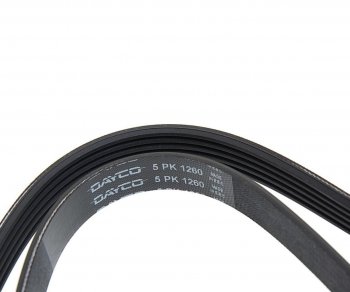 1 159 р. Ремень приводной поликлиновой 5PK1260 DAYCO DAYCO 5pk1260hd DAYCO 5pk1260hd  с доставкой в г. Майкоп. Увеличить фотографию 2