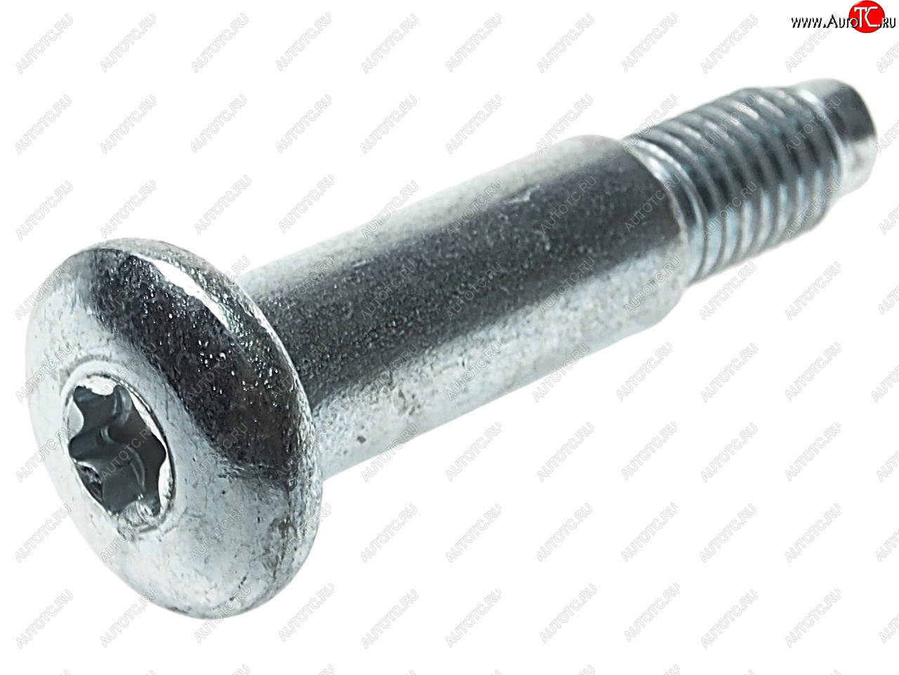 35 р. Болт М8х1.25х47 (ось) петли двери ВАЗ-1118 (ключ TORX) NO NAME 11180-6106020-00 NO NAME 11180-6106020-00  с доставкой в г. Майкоп