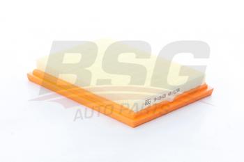 339 р. Фильтр воздушный FORD Fiesta (01-),Fusion (02-) BSG BSG bsg30135028  с доставкой в г. Майкоп. Увеличить фотографию 1