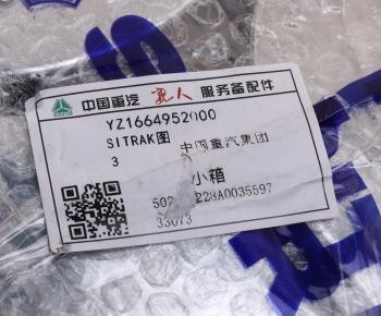 1 429 р. Эмблема SITRAK капота (хромированный логотип) OE SITRAK yz1664952000  с доставкой в г. Майкоп. Увеличить фотографию 4