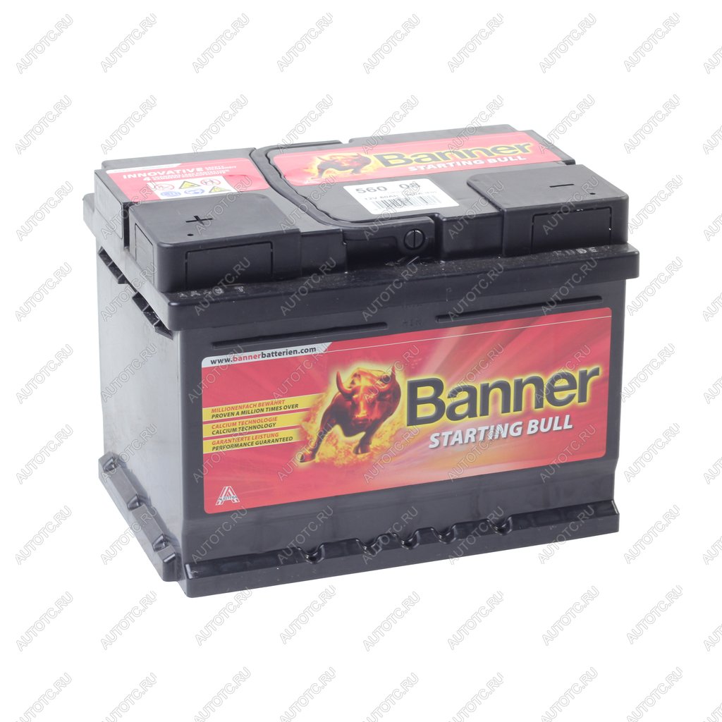 7 499 р. Аккумулятор BANNER Starting Bull 60Ач низкий BANNER 6ст60(1) 560 08  с доставкой в г. Майкоп