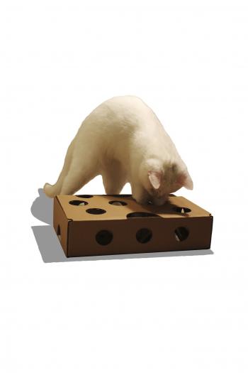 299 р. Игрушка для кошки игрушка-кормушка  дразнилка для кота Ля Мурр! 2001196208001  с доставкой в г. Майкоп. Увеличить фотографию 7