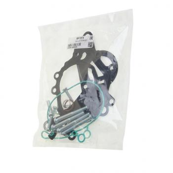 4 199 р. Прокладка VW Bora,Golf,Jetta AUDI A3,A4,A6 SKODA Fabia,Octavia насоса вакуумного комплект MEAT&DORIA MEAT&DORIA 91111  с доставкой в г. Майкоп. Увеличить фотографию 1
