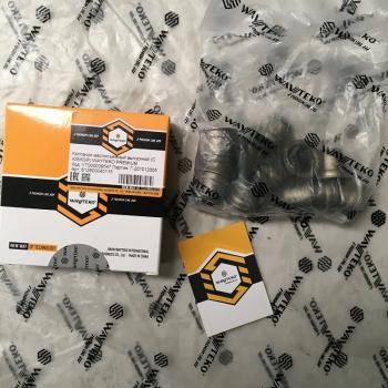 129 р. Колпачок маслосъемный выпускной (С ЮБКОЙ) WAYTEKO PREMIUM 612600040115 WAYTEKO PREMIUM 612600040115  с доставкой в г. Майкоп. Увеличить фотографию 1