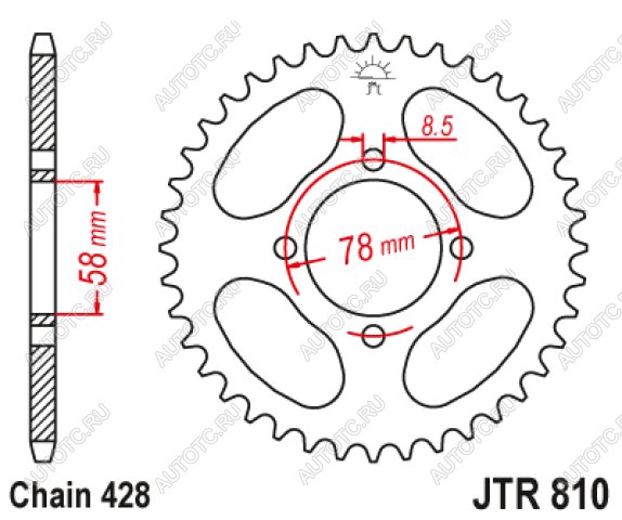 1 859 р. Звезда цепного привода JTR810 36  jtr810.36  с доставкой в г. Майкоп