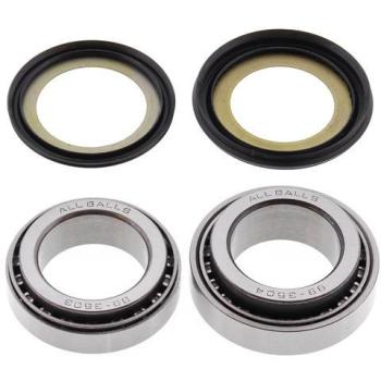 5 849 р. Комплект подшипников рулевой колонки ALL BALLS Kawasaki ER5 97-06, EX250 Ninja,EX300 Ninja (22-1014)  22-1014  с доставкой в г. Майкоп. Увеличить фотографию 1