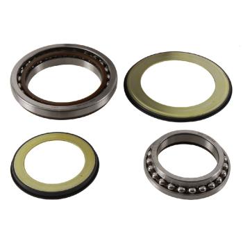9 399 р. Комплект подшипников рулевой колонки ALL BALLS Honda GL1800 18-19 (22-1079)  22-1079  с доставкой в г. Майкоп. Увеличить фотографию 1